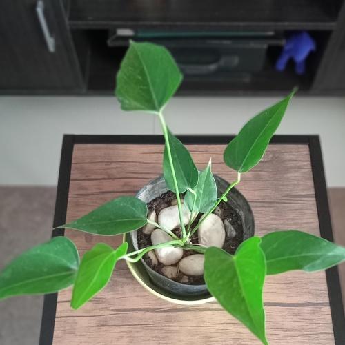 Photo #5382139