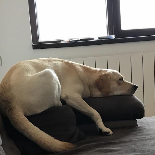 Photo #5382147