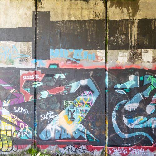 Photo #5382156
