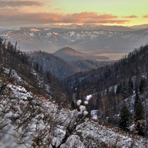 Photo #5382167