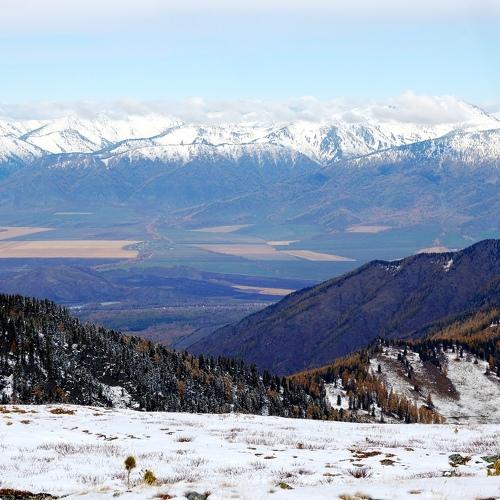 Photo #5382168