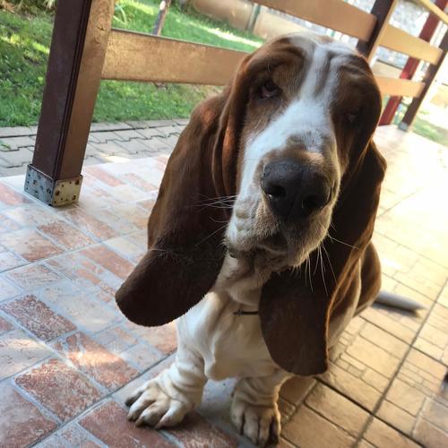Photo #5382183