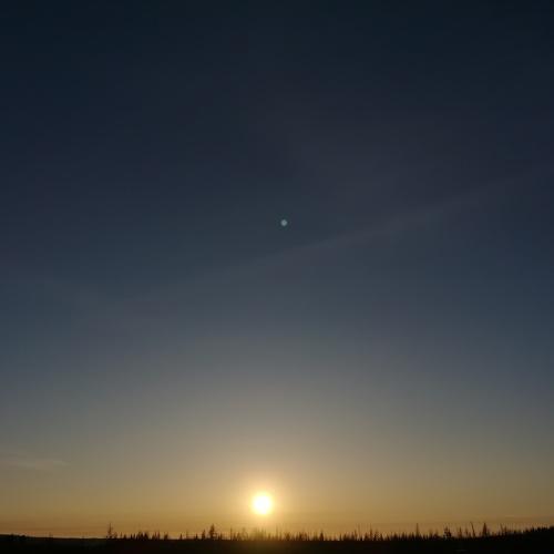 Photo #5382272