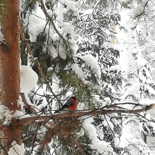 Photo #5382303