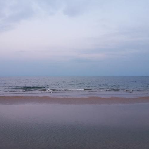 Photo #5382305