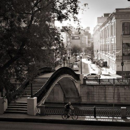 Photo #5382454