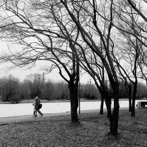 Photo #5382476