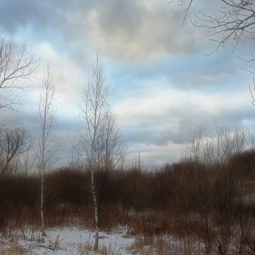 Photo #5382491