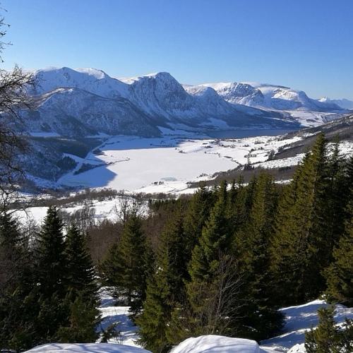 Photo #5382592