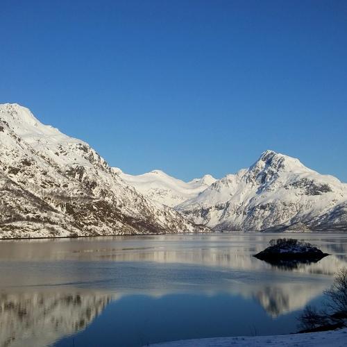 Photo #5382604