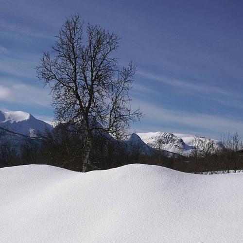 Photo #5382620
