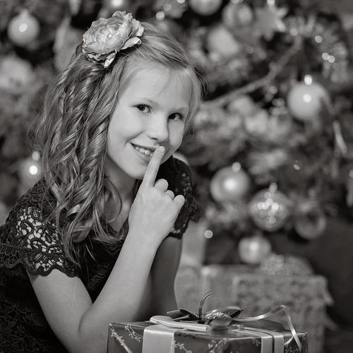 Photo #5382931