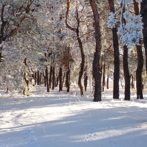 Photo #5383291