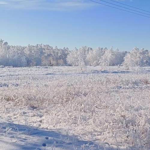 Photo #5383294