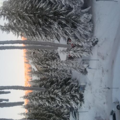Photo #5383352