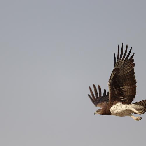 Photo #5383466