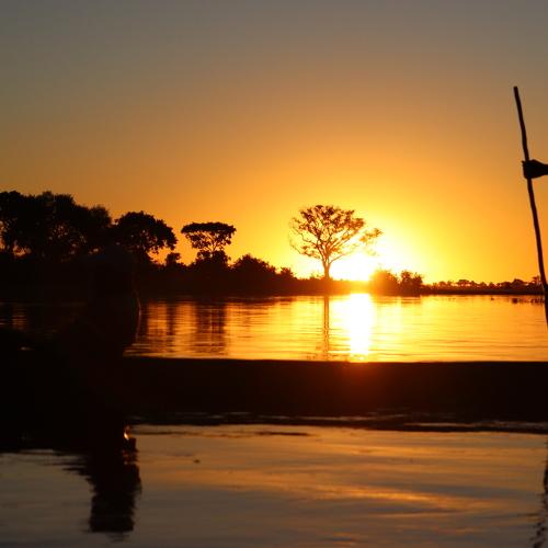 Photo #5383481