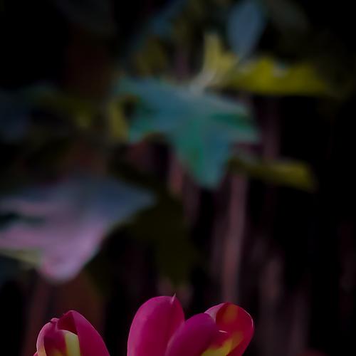 Photo #5383570
