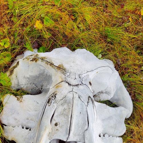 Photo #5383602