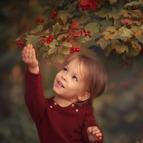 Photo #5383817