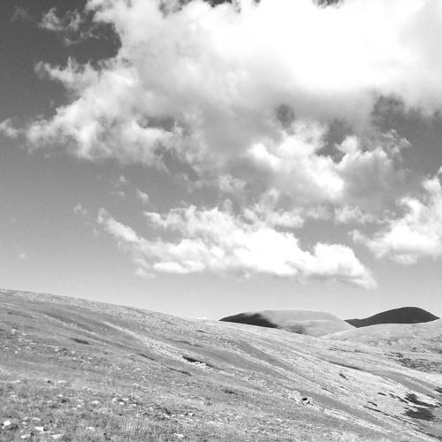 Photo #5384034