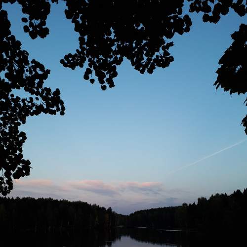 Photo #5384229