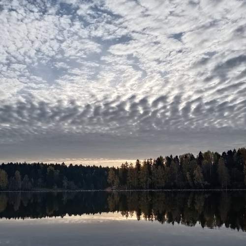 Photo #5384233