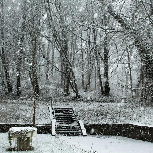 Photo #5384268