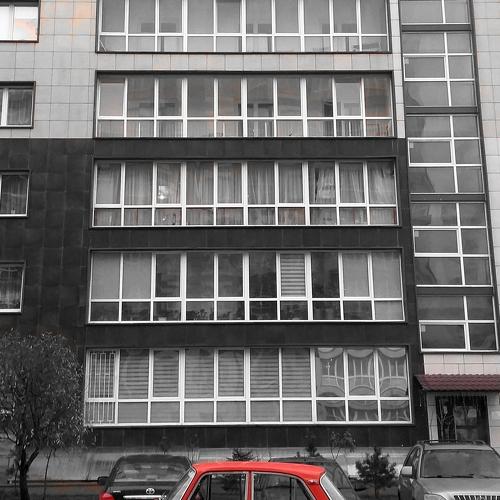 Photo #5384295