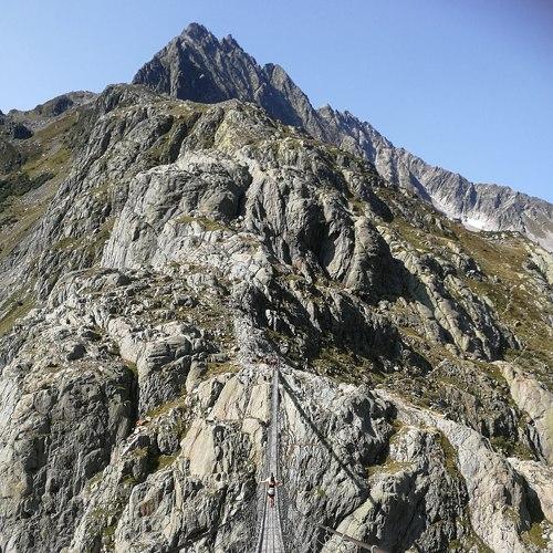 Photo #5384339