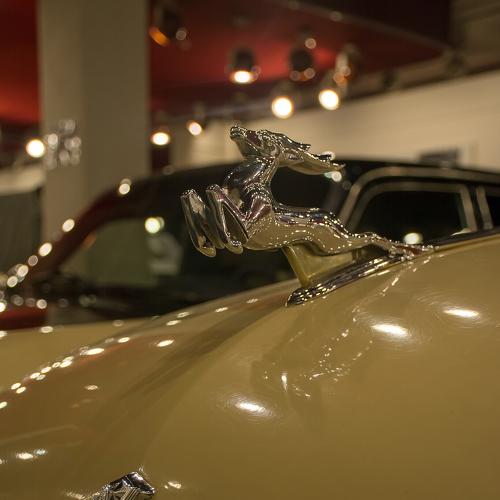 Photo #5384956