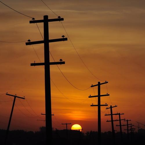 Photo #5384965