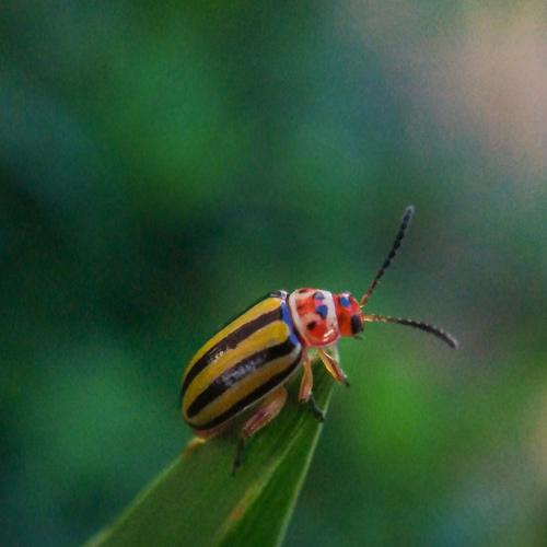 Photo #5385182