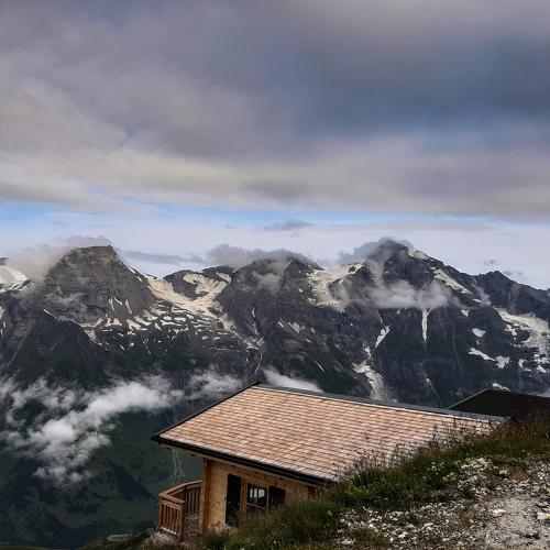Photo #5385435