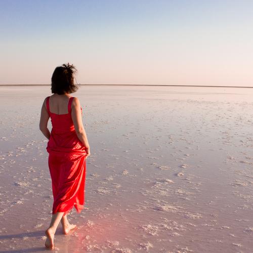 Photo #5385502