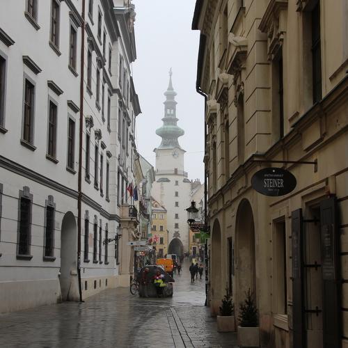 Photo #5385879