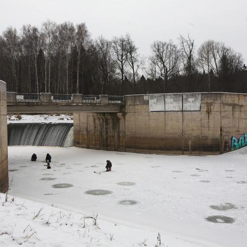 Photo #5386425