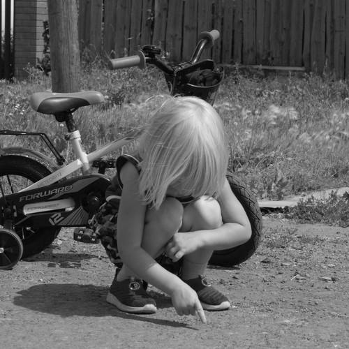 Photo #5386555