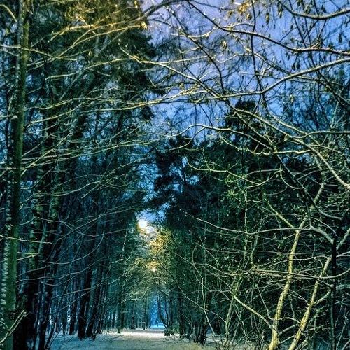 Photo #5386615