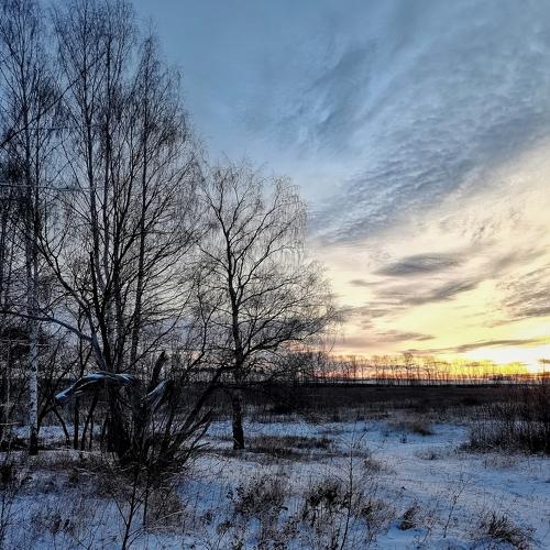 Рассвет в декабре