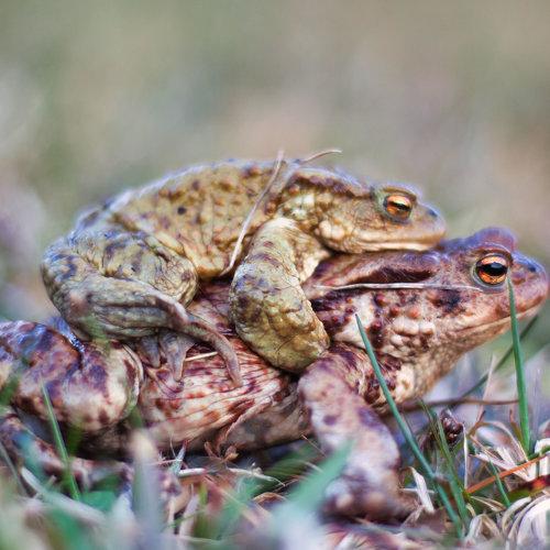 Photo #5386780