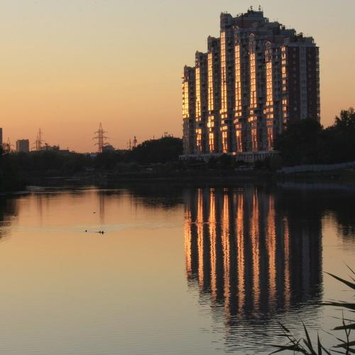 Photo #5387009