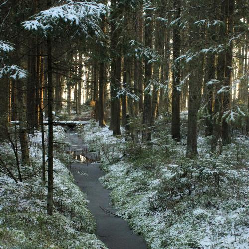 Photo #5387830