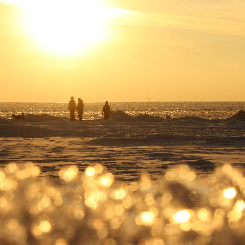 Photo #5387831