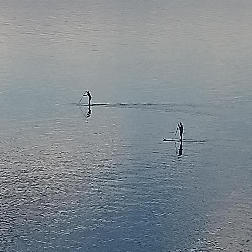 Photo #5387836