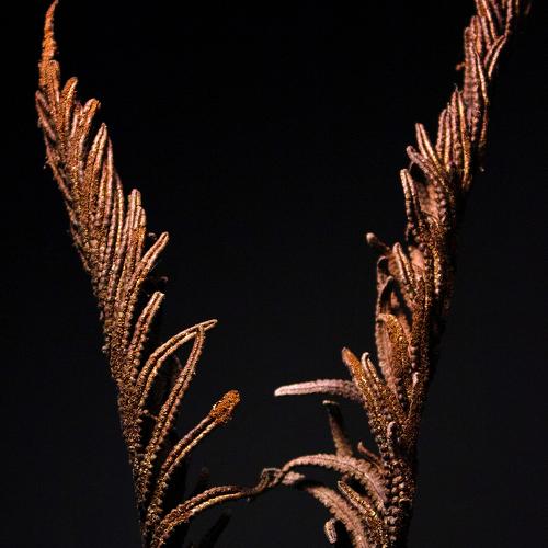 Photo #5387866
