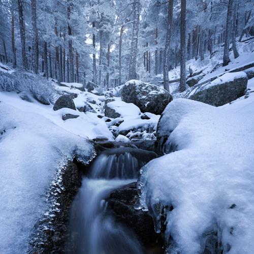 Photo #5387960