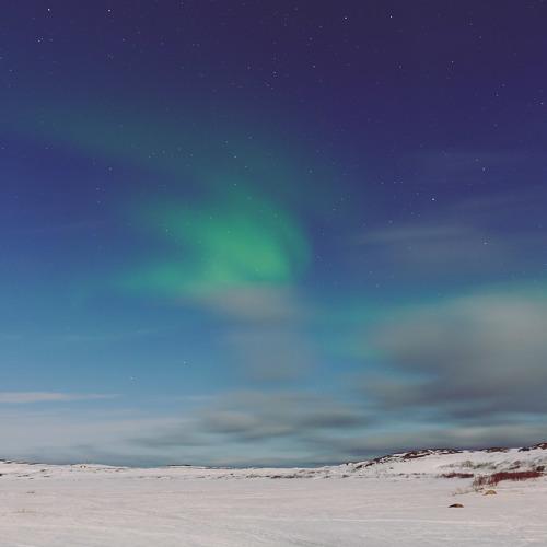 Photo #5388532
