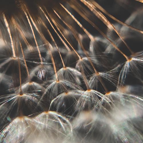 Photo #5388886