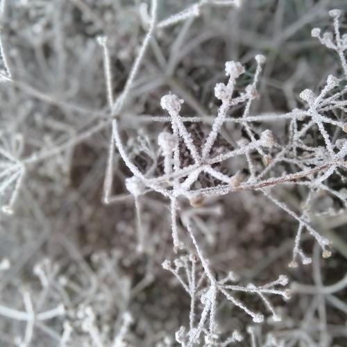 Photo #5388920